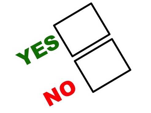 A fost constituit grupul de iniţiativă pentru organizarea referendumului privind anularea sistemului mixt