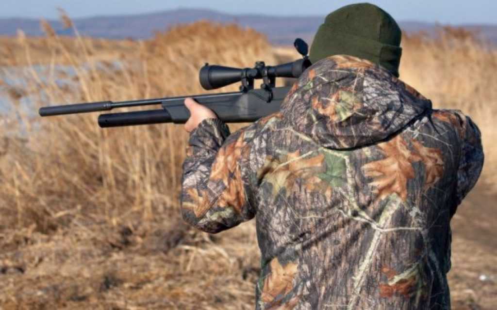 Doi bărbați din Ungheni au vânat ilegal un CERB NOBIL de 157 de kilograme din rezervaţia  „Plaiul Fagului”