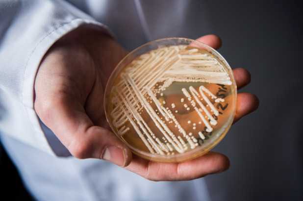 O nouă infecție molipsitoare face victime la nivel global