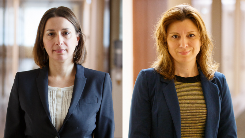 Consiliul Audiovizualului și-a ales conducerea: Liliana Vițu, soția șefului ASP, este noua președintă, iar Aneta Gonța – vicepreședintă