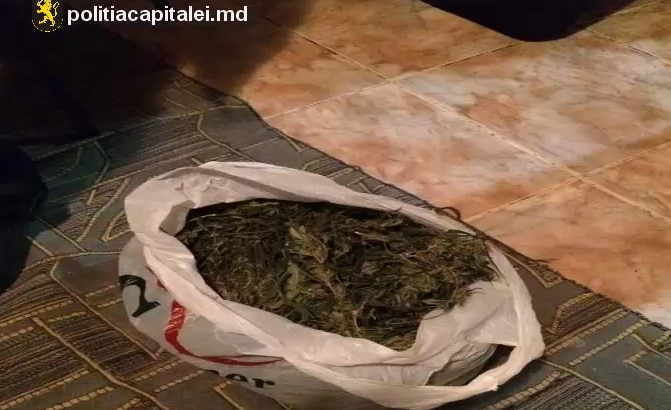 Droguri şi arme depistate într-o gospodărie din raionul Călăraşi