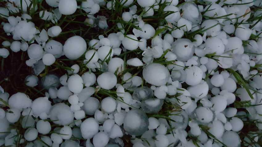 RECOMANDĂRILE experților pentru agricultori în vederea protejării culturilor de ploile abundente și grindină