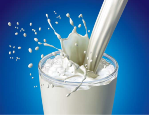 Investigațiile făcute de ANSA adeveresc procentul exagerat de grăsimi vegetale în lactate