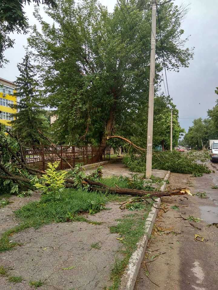 PRĂPĂD în nordul țării din cauza furtunii și ploilor puternice. Localități rămase în beznă, copași smulși din rădăcini și acoperișuri distruse