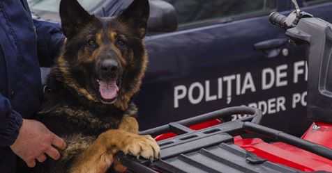 Câinele Rada al Poliției de Frontieră a reușit să ia urma unui „hoț vestit” în raionul Glodeni