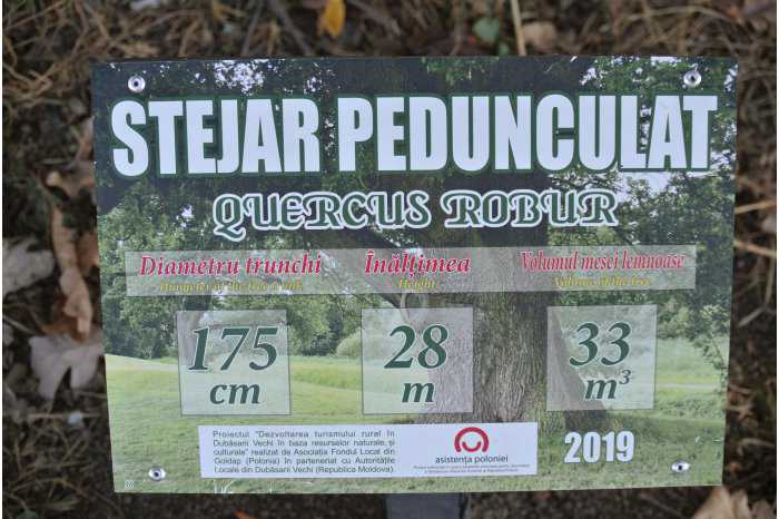 O destinaţie turistică cu stejari seculari a fost lansată în raionul Criuleni