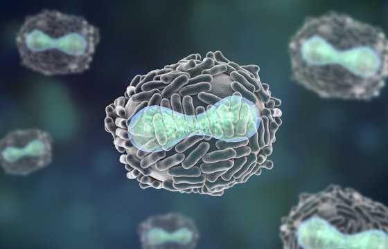 Vector, un laborator din Rusia care deţine mostre de viruşi precum Ebola, HIV şi variolă, zguduit de o EXPLOZIE