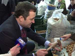 EXCLUSIV! Fraude de miliarde la restituirea TVA din buget, sau nucile de aur (partea I)/ BLOG