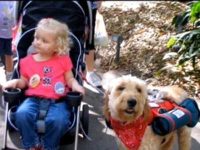 Trăieşte cu ajutorul câinelui său. Povestea Alidei, fetiţa care nu poate respira dacă „Domnul Gibbs” nu este în preajmă – VIDEO