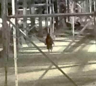 Imagine marita cu 50%