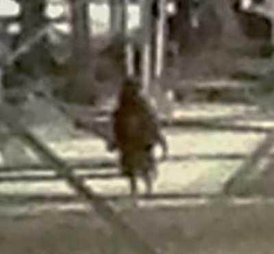 IMAGINE INCREDIBILĂ! Extraterestru fotografiat într-o rafinărie