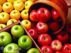 Merele consumate zilnic previn maladiile Alzheimer si Parkinson