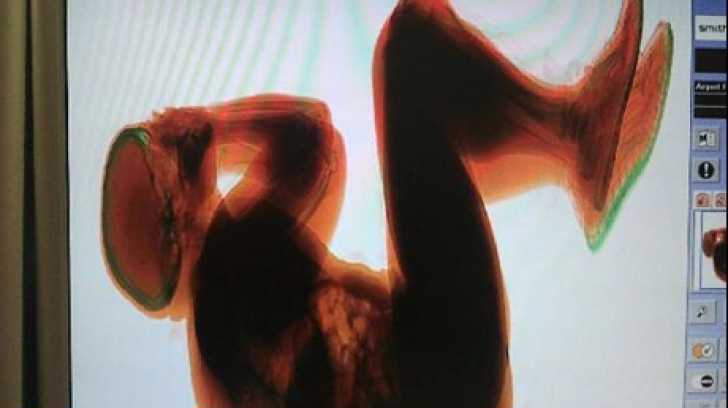 Angajaţii aeroportului din Roma şocati de ce au văzut pe monitor