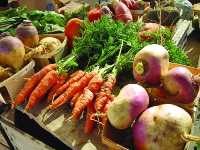 Producătorii moldoveni de fructe și carne de porc, monitorizați de experţii Rosselhoznadzor