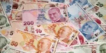 Turcia propune înființarea unei „zone a lirei”, uniune monetară concurentă pentru zona euro