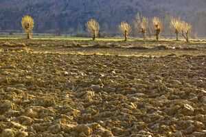 Stare de urgenţă într-o treime dintre comunele din Chile din cauza secetei