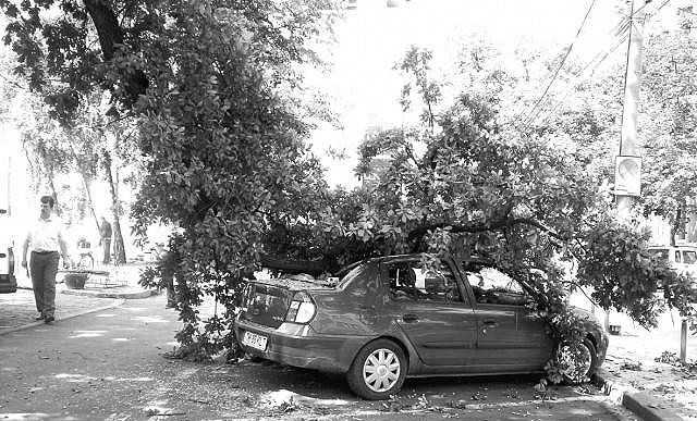 INP: Atenție șoferi! Aveţi grijă unde parcaţi maşina