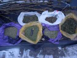 6 kg de marijuana, depistate în gospodăria unui bărbat din Ialoveni