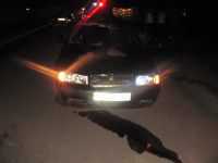 Tragedie la Bubuieci. Un bărbat a murit după ce a fost lovit de o maşină