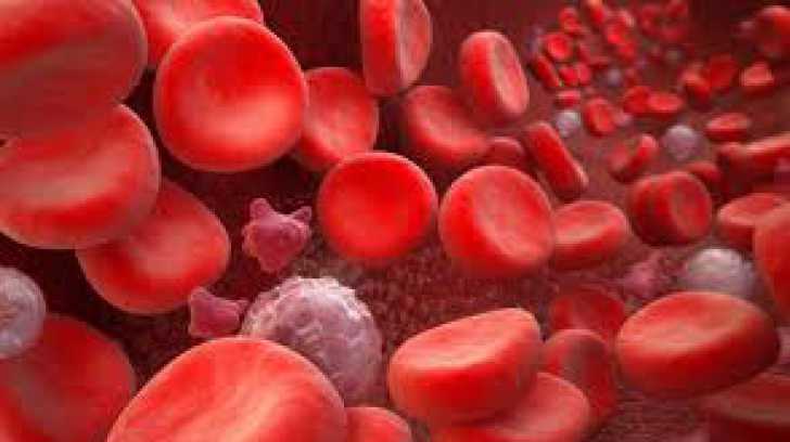 MISTER MORTAL descifrat. A fost descoperită O NOUĂ GRUPĂ DE SÂNGE