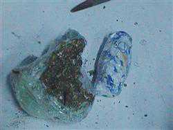 Pachet cu marijuana şi cannabis aruncat peste edificiile de pază ale Penitenicarului din Soroca