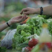 Europa începe să facă economie la alimente