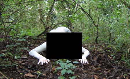 Creatura bizară, descoperită într-o pădure