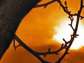 Europa, sub asediul fenomenelor extreme: Caniculă în sud şi est, furtuni în nord