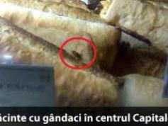 Chirtoacă: comercializarea neautorizată merge ca pe unt