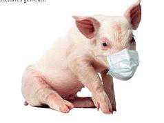 Gripa A(H1N1) a fost inventată pentru a aduce profituri