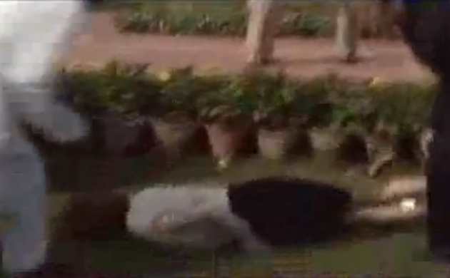 Premierul australian a căzut pe iarbă, în timpul unei vizite în India. VIDEO