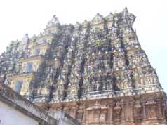 Avatarul timpurilor noastre