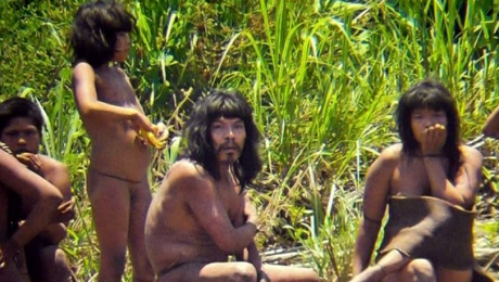 IMAGINI RARE: Cum arată ultimii sălbatici de pe Terra VIDEO