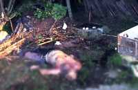 Un bărbat din Glodeni și-a ucis fratele în bătăi