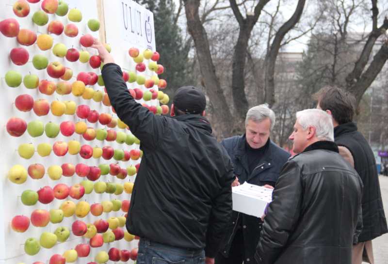 FOTO // În Chișinău a fost ridicat ZIDUL DE MERE pentru protejarea producătorilor locali