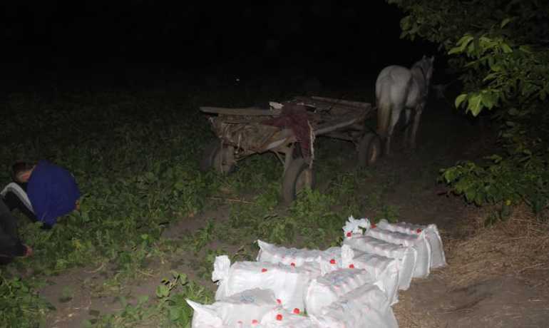 Poliția de Frontieră