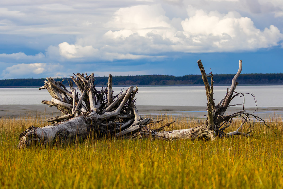 Ce acțiuni va întreprinde Inspectoratul General pentru Situații de Urgență în cele trei zile de minivacanță a bugetarilor