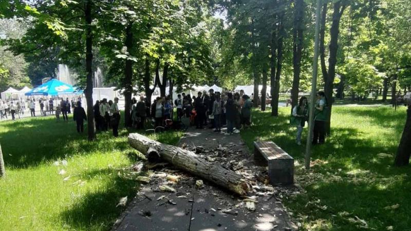 Ceban: Până miercuri să fie finalizată ancheta, în cazul tragediei din parcul Alunelul