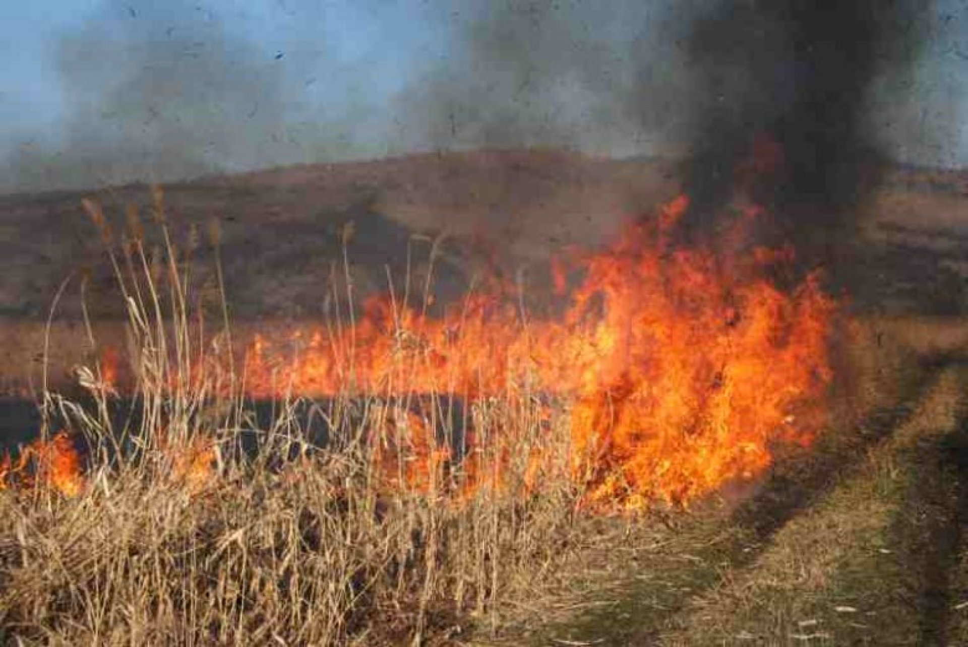 Meteorologii anunță COD GALBEN de pericol excepțional de incendiu