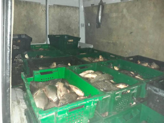 ANSA a depistat mai multe nereguli la comercializarea peştelui proaspăt
