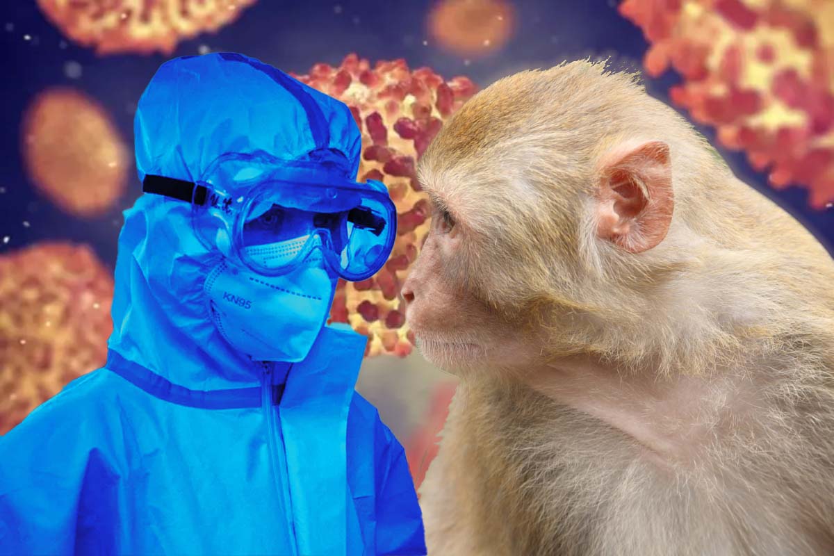 Ce este variola maimuței – care sunt simptomele și ce tratament se aplică