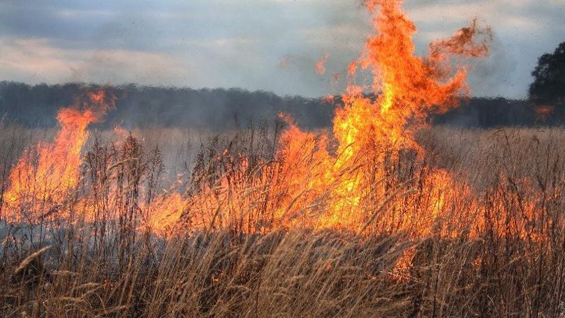 Cod galben de căldură – Pericol excepțional de incendiu