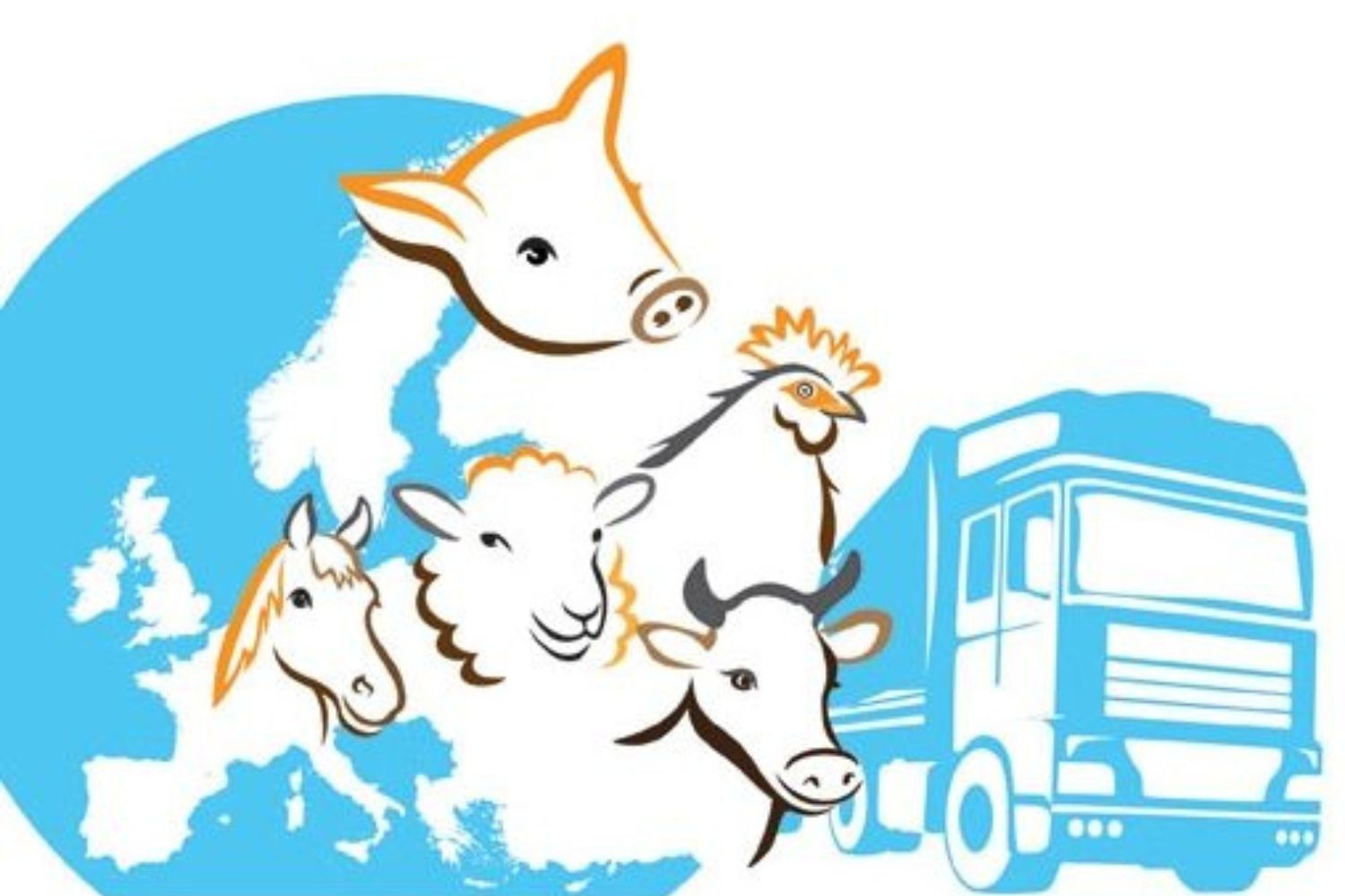 ANSA a restricționat transporturile naționale și internaționale de animale din cauza caniculei