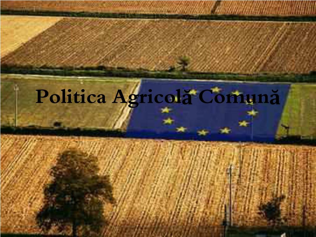 Ministrul Bolea: În acest an, 70 de acte UE din domeniul agroalimentar vor fi transpuse în legislația națională – Ce spun experții