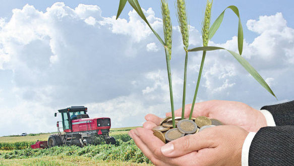 Un nou suport financiar pentru susținera sectorului agricol din Moldova – Unde vor fi direcționați banii
