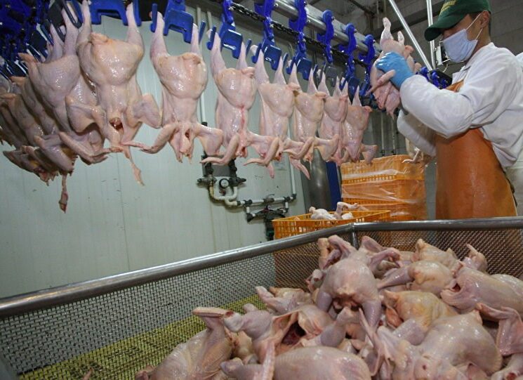 Moldova suspendă temporar importurile de carne de pasăre din Ucraina