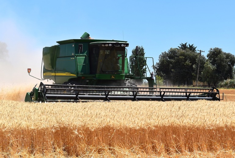 ALARMĂ în agricultură – Fermierii cer Guvernului măsuri de urgență – Sectorul cerealier se află într-o criză profundă